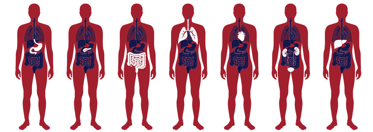Was passiert im Körper beim Fasten